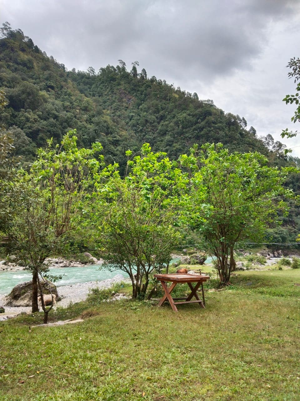 Munsiyari - Photo 3